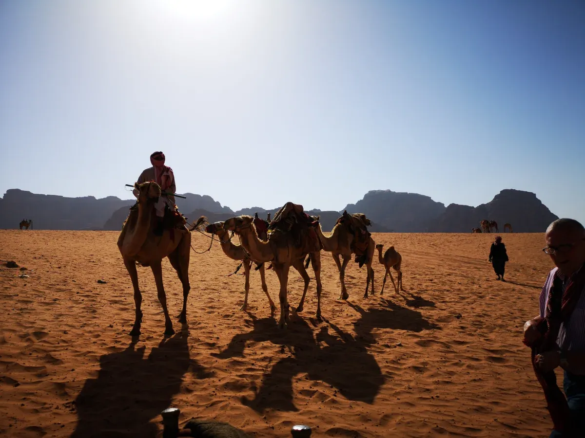 A Bedouin rider in a headscarf leading camels across red sand in Wadi Rum, Jordan, dressed for the desert sun